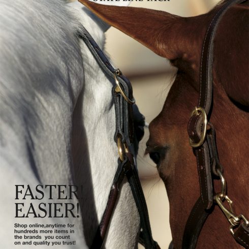 Commercial Photography