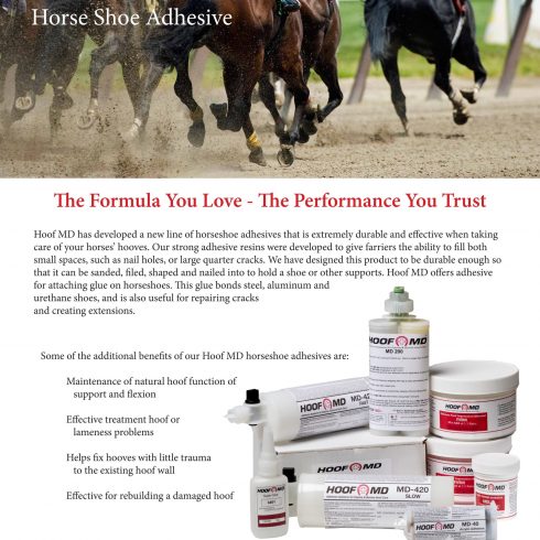 Advertising photography for sales brochure. Equine photography